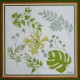 Agapanthes Napkin