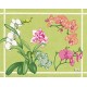 Orchidées Placemat - Green